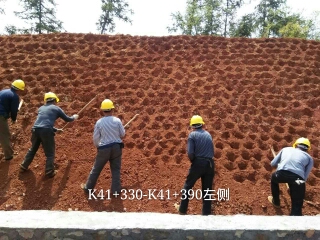 長沙東日園林工程有限公司,長沙園林綠化工程,長沙綠化養護管理